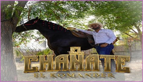Lyrics & Translations of El Chanate by El Komander