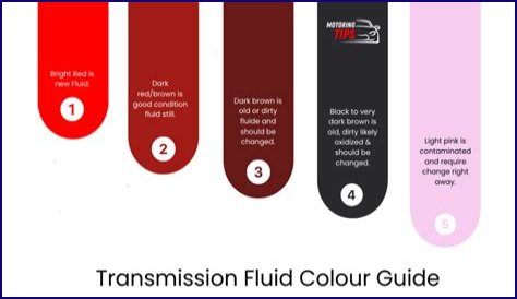 What kind of fluid goes in tilt trim?